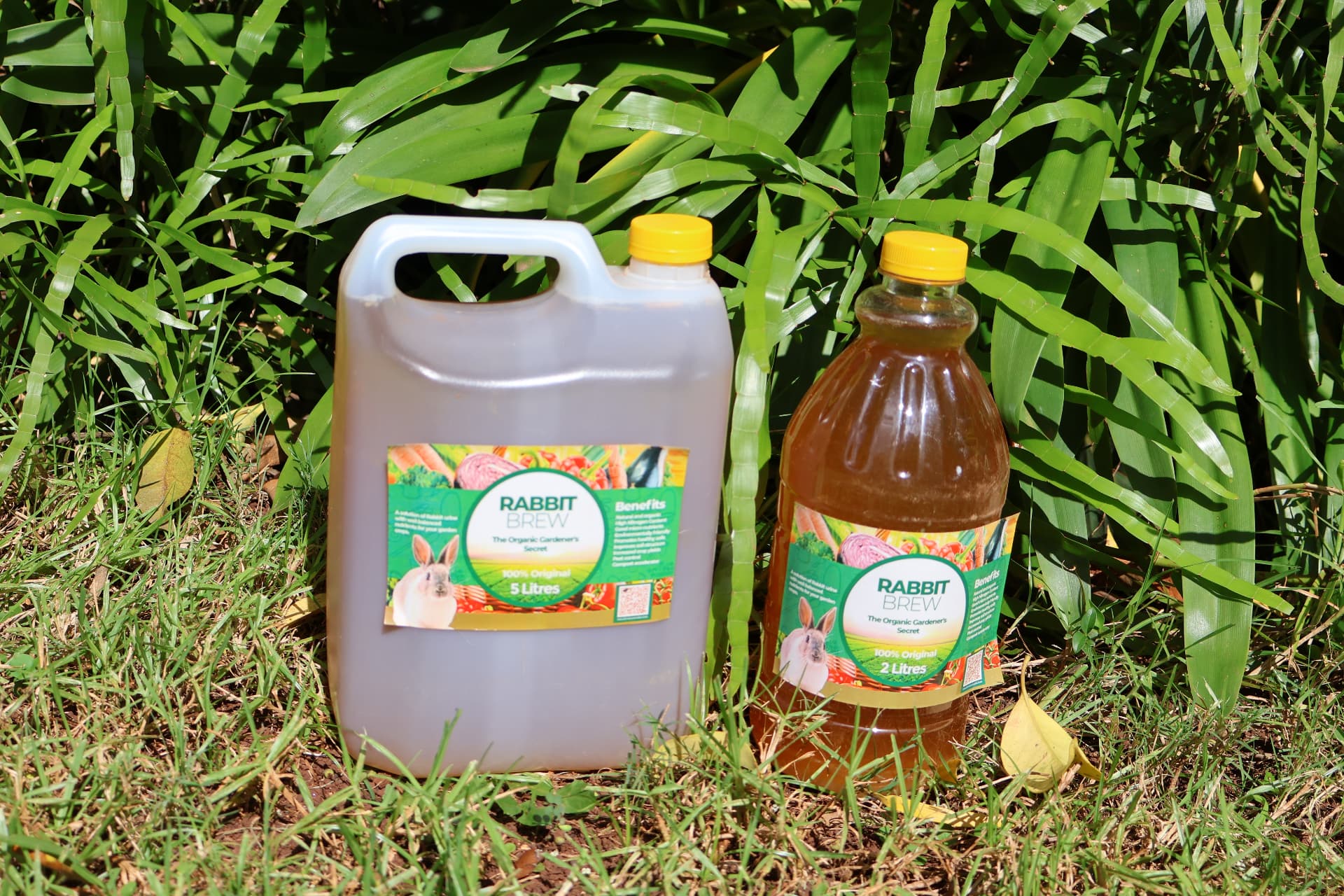 Zvizegwe Organic Rabbit Brew